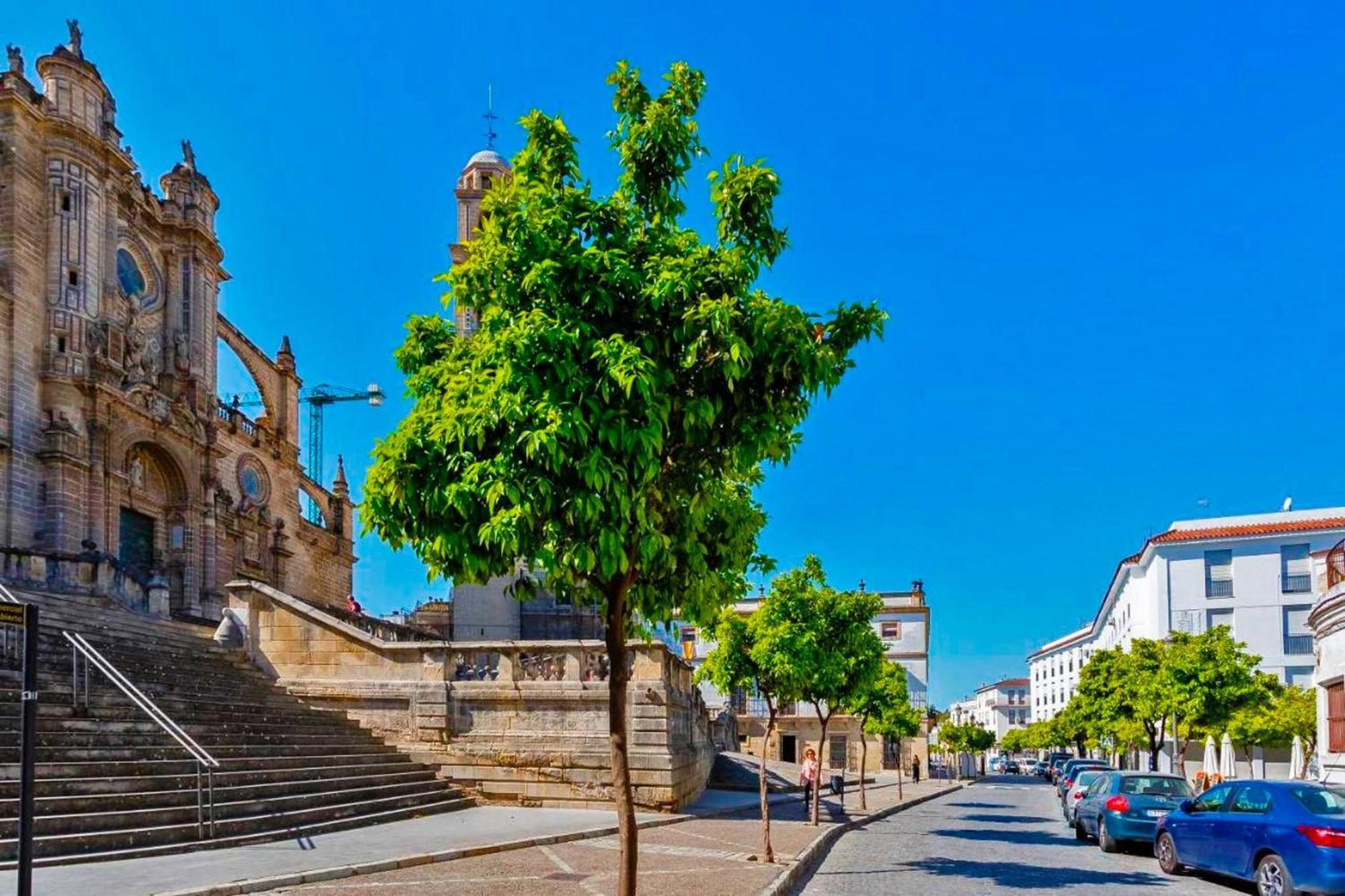 La Torre De La Catedral - Ole Solutions Appartement Jerez de la Frontera Buitenkant foto